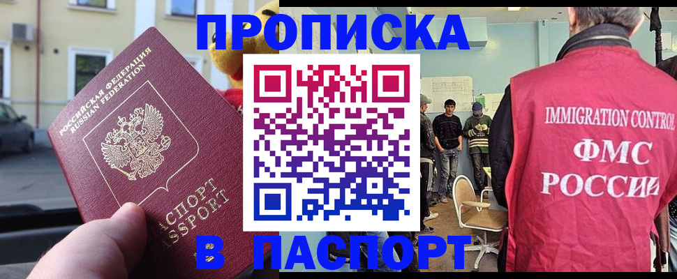 временная регистрация поиск в Жуковском
